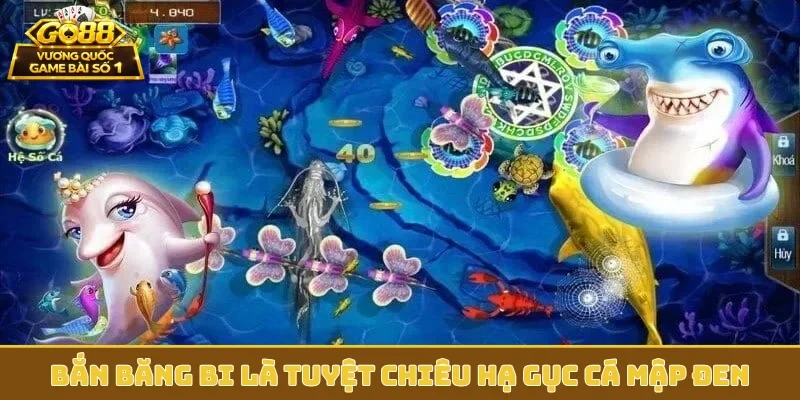 Bắn băng bi là tuyệt chiêu hạ gục cá mập đen