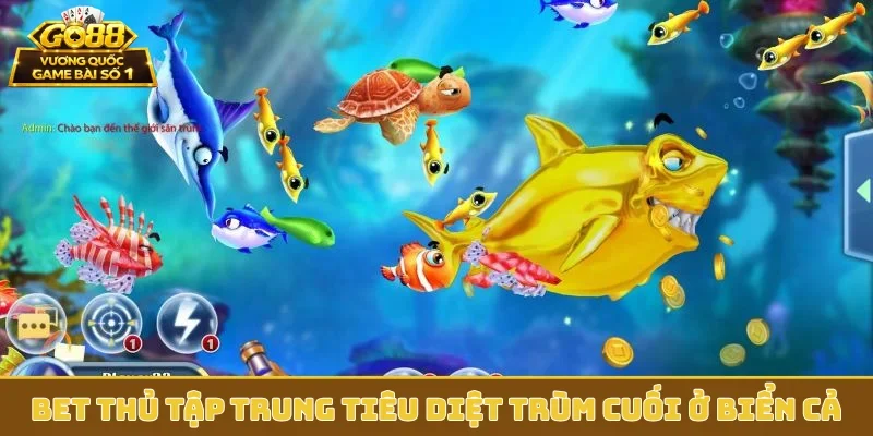 Bet thủ tập trung tiêu diệt trùm cuối ở biển cả