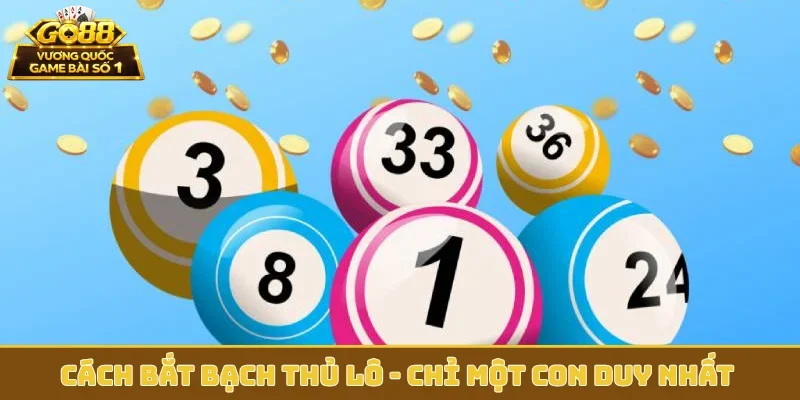 cách bắt bạch thủ lô