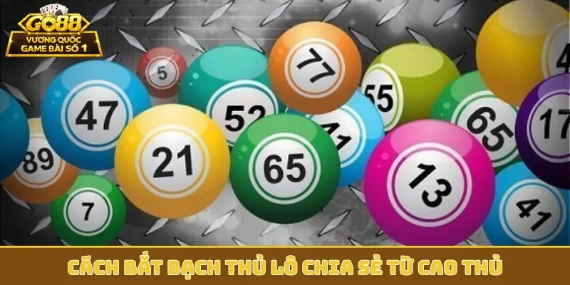 Cách bắt bạch thủ lô chia sẻ từ cao thủ