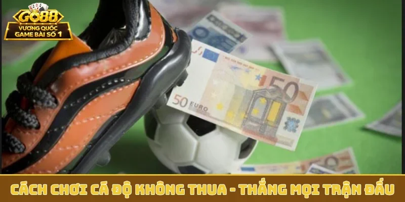 Cách chơi cá độ không thua