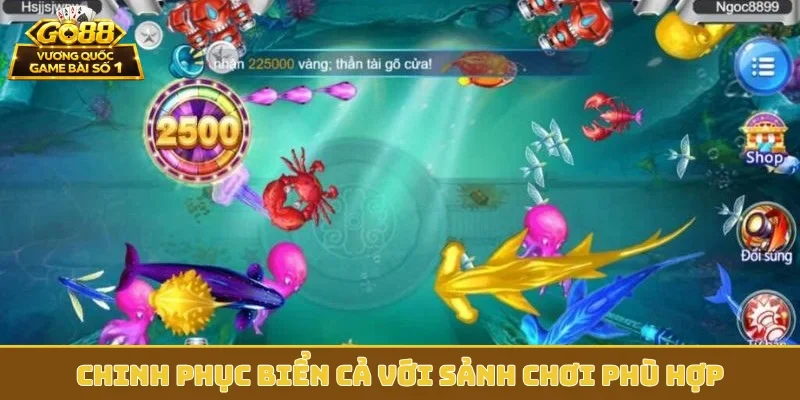 Chinh phục biển cả với sảnh chơi phù hợp