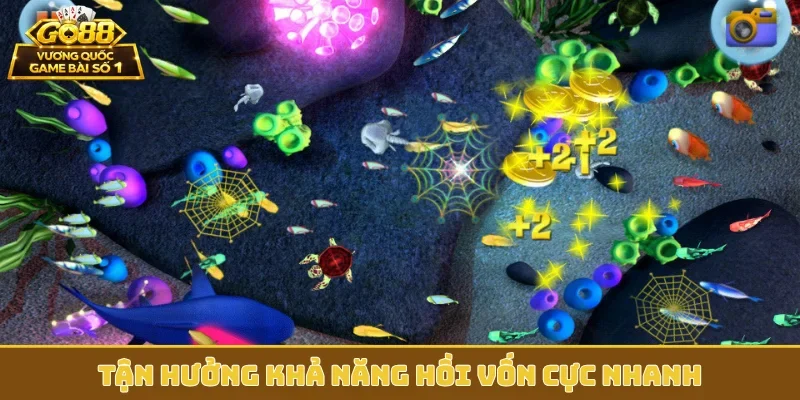 Tận hưởng khả năng hồi vốn cực nhanh
